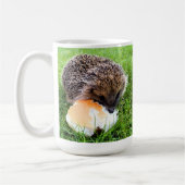 CUTE HEDGEHOG KOFFIEMOK (Links)