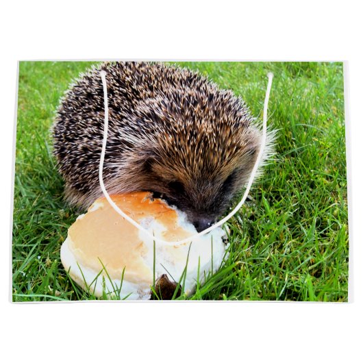 CUTE HEDGEHOG LARGE CADEAUTASJE (Voorkant)