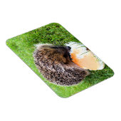 CUTE HEDGEHOG MAGNEET (Rechterzijde)