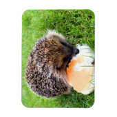 CUTE HEDGEHOG MAGNEET (Verticaal)
