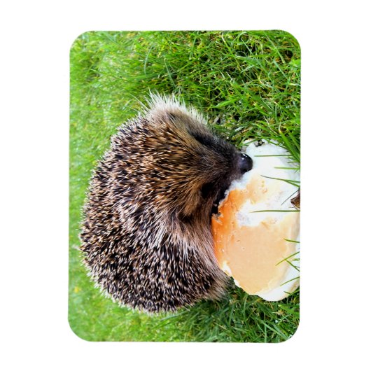 CUTE HEDGEHOG MAGNEET (Verticaal)