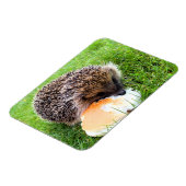 CUTE HEDGEHOG MAGNEET (Linkerzijde)