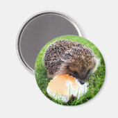 CUTE HEDGEHOG MAGNEET (Voorkant / Achterkant)