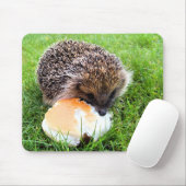 CUTE HEDGEHOG MUISMAT (Met muis)