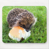 CUTE HEDGEHOG MUISMAT (Voorkant)