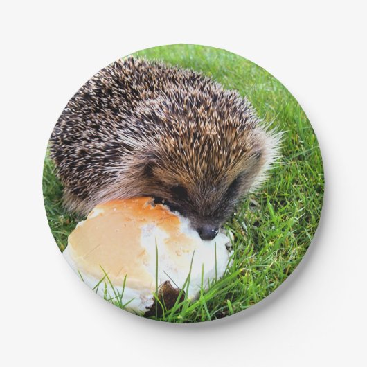 CUTE HEDGEHOG PAPIEREN BORDJE (Voorkant)