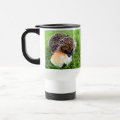 CUTE HEDGEHOG REISBEKER (Links)