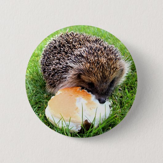 CUTE HEDGEHOG RONDE BUTTON 5,7 CM (Voorkant)