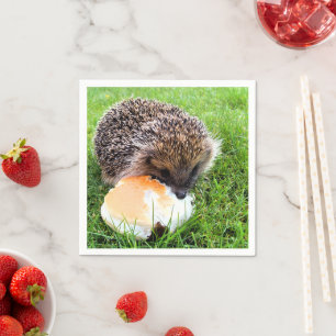 CUTE HEDGEHOG SERVETTEN