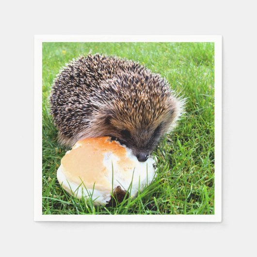 CUTE HEDGEHOG SERVETTEN (Voorkant)