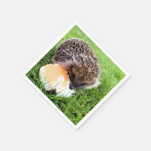 CUTE HEDGEHOG SERVETTEN (Hoek)