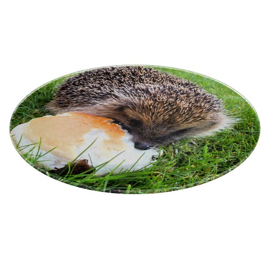 CUTE HEDGEHOG SNIJPLANK (Hoek)