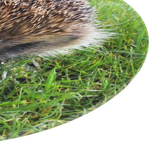 CUTE HEDGEHOG SNIJPLANK (Hoek)