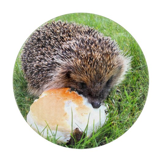 CUTE HEDGEHOG SNIJPLANK (Voorkant)