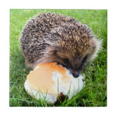 CUTE HEDGEHOG TEGELTJE (Voorkant)