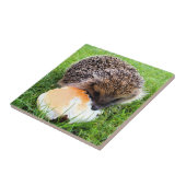 CUTE HEDGEHOG TEGELTJE (Zijkant)