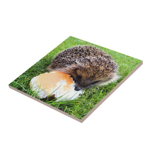 CUTE HEDGEHOG TEGELTJE (Zijkant)