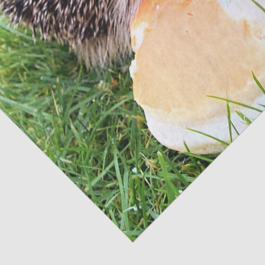 CUTE HEDGEHOG TISSUEPAPIER (Detail)