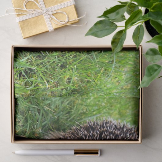 CUTE HEDGEHOG TISSUEPAPIER (Geschenk)