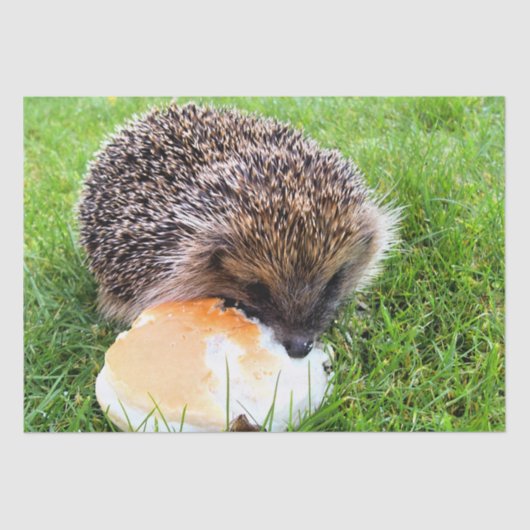 CUTE HEDGEHOG TISSUEPAPIER (Voorkant)
