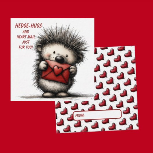 Cute Hedgehog Valentine Card  Notitiekaartje