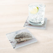 Cute Hedgel Baby Glazen Onderzetter (Schuin)