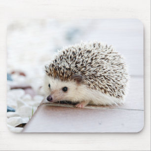 Cute Hedgel Baby Muismat