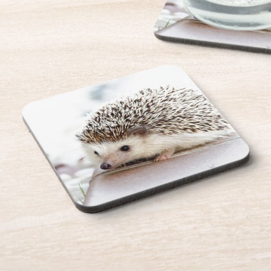 Cute Hedgel Bier Onderzetter (Linkerzijde)