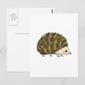 Cute hedgel briefkaart (Voorkant / Achterkant)