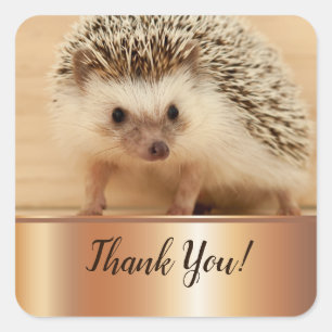 Cute Hedgel Faux Gold Foil Hartelijk dank Vierkante Sticker