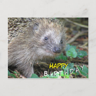 Cute Hedgel Happy Birthday Briefkaart