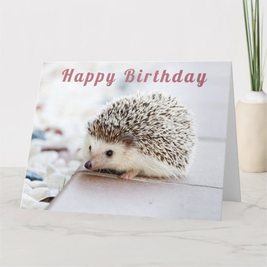 Cute Hedgel - Happy Birthday Kaart (Voorkant)