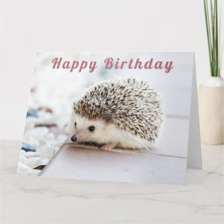 Cute Hedgel - Happy Birthday Kaart