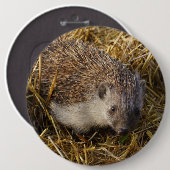 Cute hedgel in Stubble Field Ronde Button 6,0 Cm (Voorkant /achterkant)