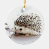 Cute Hedgel Keramisch Ornament (Voorkant)