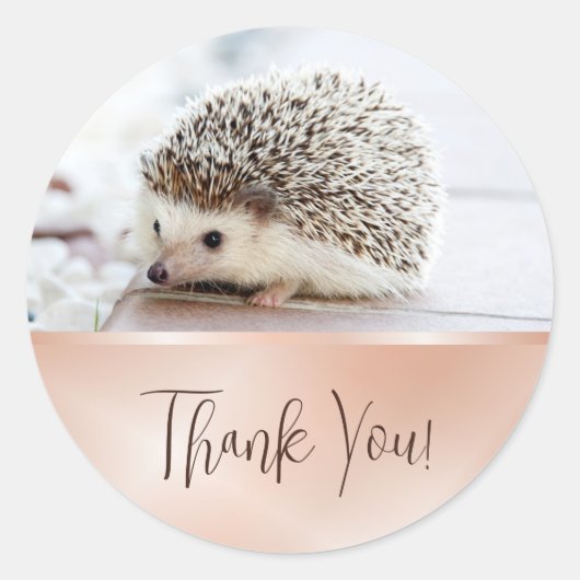 Cute Hedgel Roos Gold Bedankt Ronde Sticker (Voorkant)