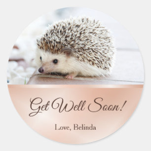 Cute Hedgel Roos Gold Get Good Ronde Sticker