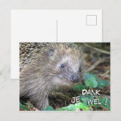 Cute Hedkel Dankje Briefkaart (Voorkant / Achterkant)