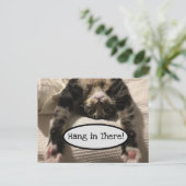 Cute Henry Cat Hang daar Foto Briefkaart (Staand voorkant)