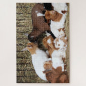 Cute Herd of Baby Goat Kinder Legpuzzel (Verticaal)