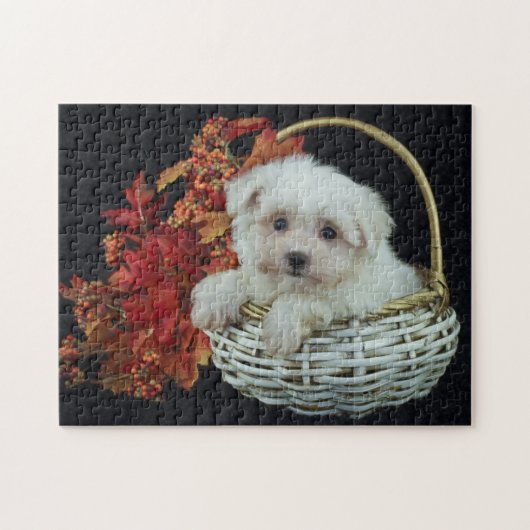 Cute Herfst Puppy Legpuzzel (Horizontaal)