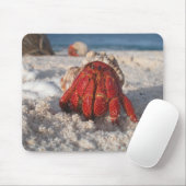 Cute Hermit Crab op White Sandy Beach Closeup Muismat (Met muis)