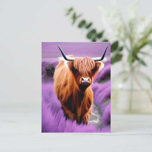 Cute Highland Koe in Lavender Field Briefkaart (Staand voorkant)