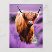 Cute Highland Koe in Lavender Field Briefkaart (Voorkant)