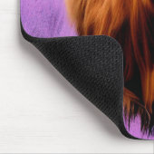 Cute Highland Koe in Lavender Field er Muismat (Hoek)