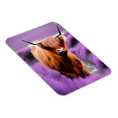 Cute Highland Koe in Lavender Field Magneet (Rechterzijde)