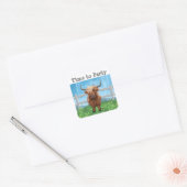 Cute Highland Koe Vierkante Sticker (Envelop)