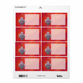 Cute Hippo in Santa Hat op Red Etiket (Full Sheet)