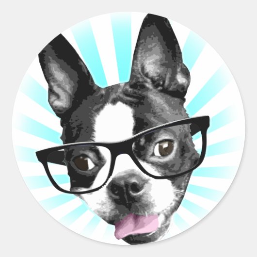 Cute! Hipster Boston Terrier Ronde Sticker (Voorkant)