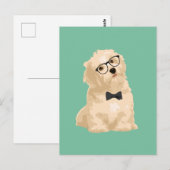 Cute Hipster Reddish Havanese Puppy for Hondenlief Briefkaart (Voorkant / Achterkant)